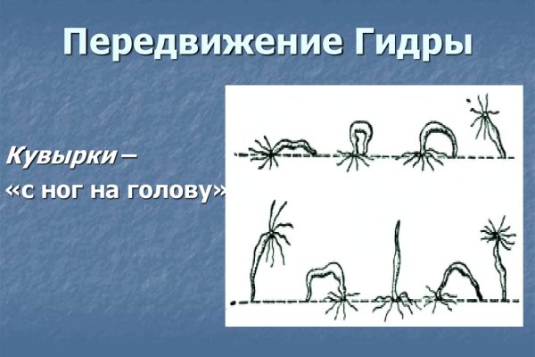Кракен это даркнет