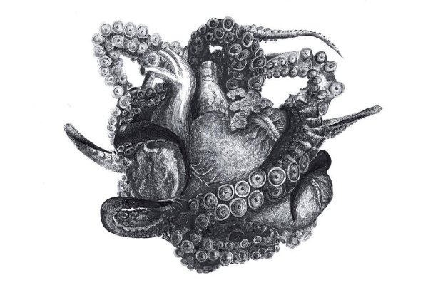 Kraken 9 at клиар ссылка