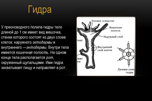 Кракен 2krnk