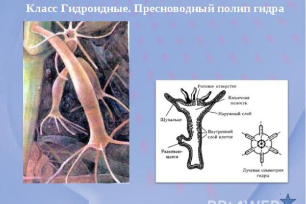 Kraken вход зеркало
